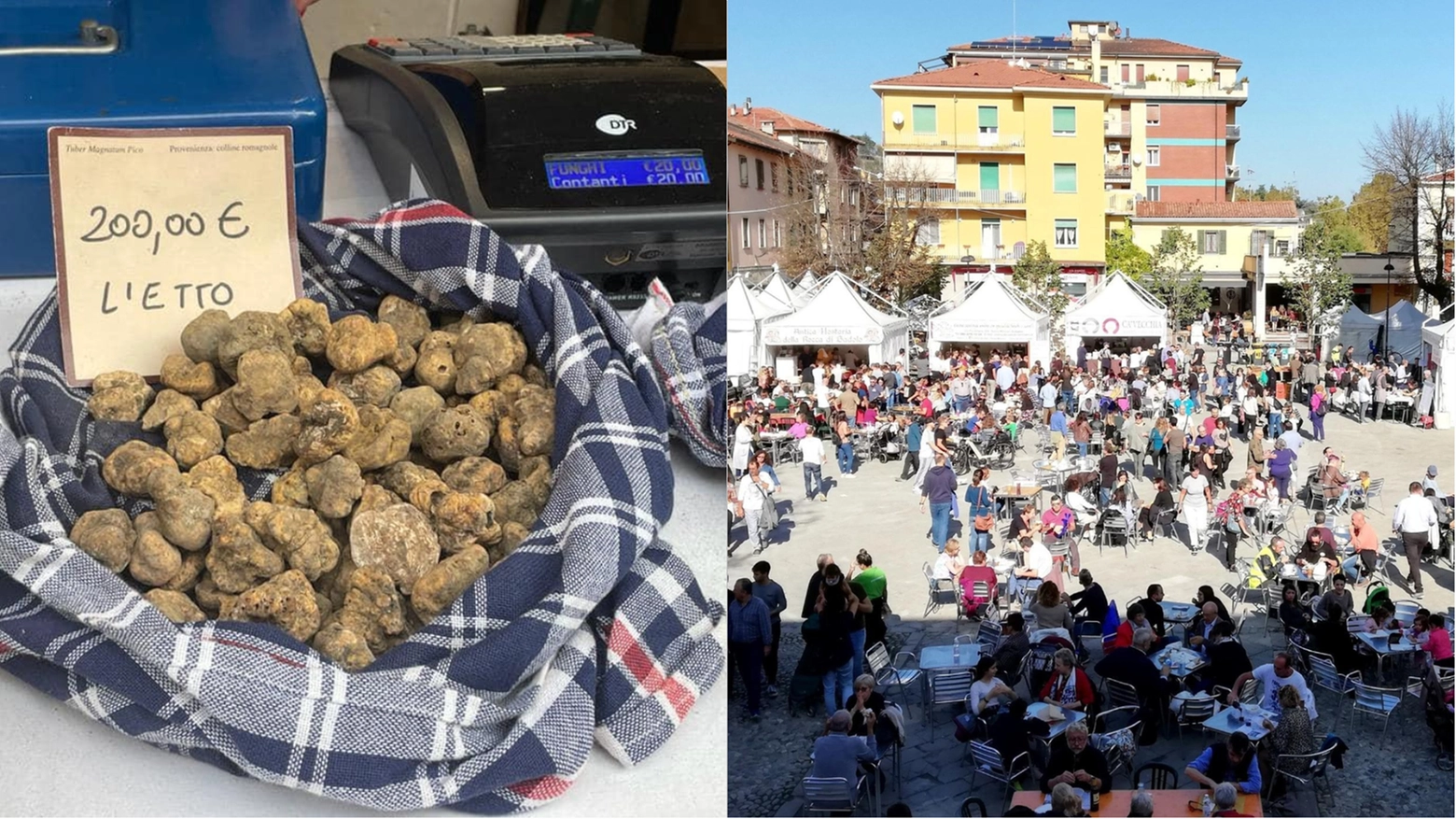 Tartufesta a Sasso Marconi: l'evento continua nel ponte di Ognissanti