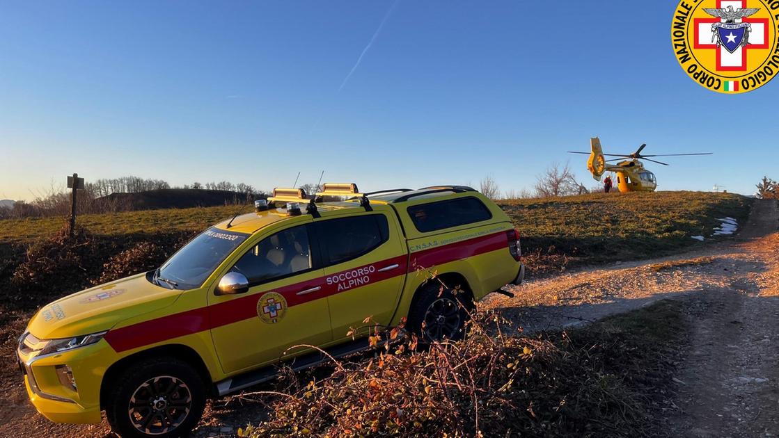 Schiacciato da una pianta mentre fa la legna: ricoverato