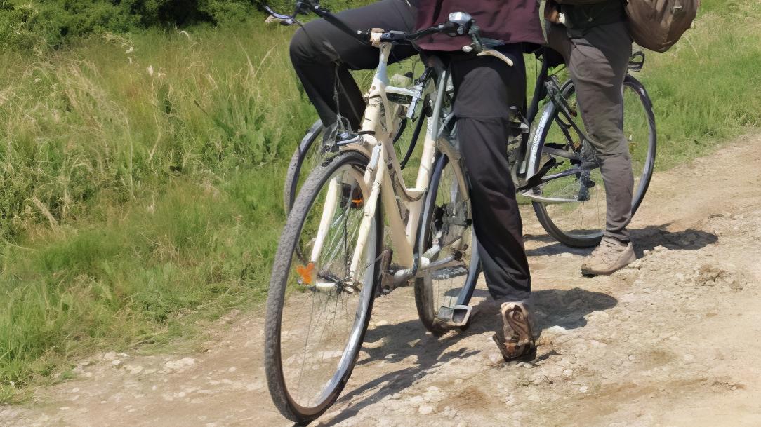 Birdwatching Days, ci siamo. L’iniziativa al parco del Delta