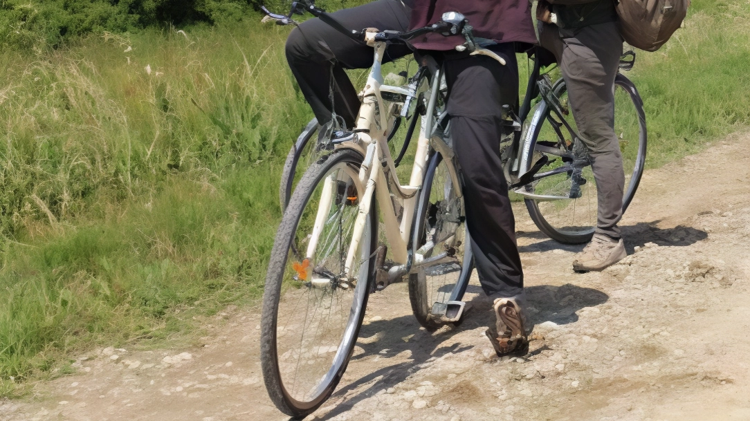 Arrivano i "Birdwatching Days" nel Parco del Delta del Po a Comacchio, con un convegno e varie attività dedicate agli uccelli migratori. Evento promosso dal Gal Delta 2000 e Parco del Delta del Po Emilia-Romagna.