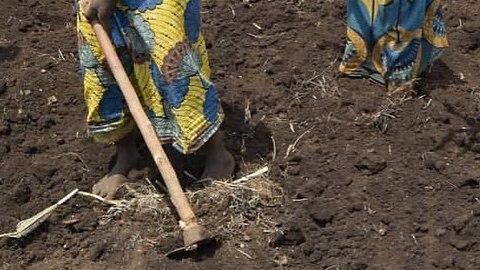 Congo sconvolto dalla guerra. Il gruppo missioni Imola Bukavu: "Temiamo per i nostri ragazzi"