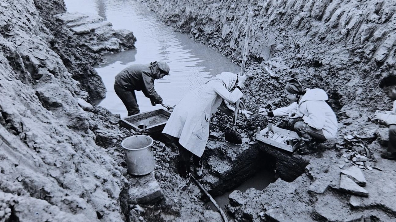 Archeologi e volontari al lavoro nel campo fra via Marabina e via Romea Sud. E’ l’avvio dell’autunno del 1974 e...