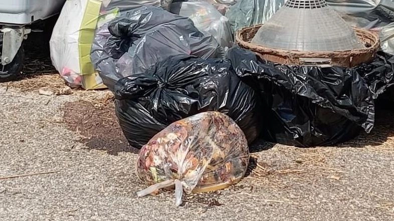 Il giovane Matteo Cimitan si impegna a ripulire la spiaggia di Volano dopo i festeggiamenti irresponsabili di Ferragosto, raccogliendo oltre 35 sacchi di rifiuti abbandonati. Un gesto per sensibilizzare sul rispetto dell'ambiente e delle generazioni future.