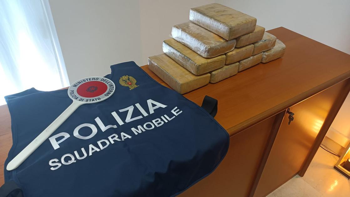In viaggio con oltre 10 kg di cocaina, fiutata nell’auto dal cane Barak: arrestato a Bologna