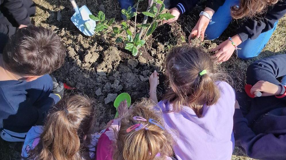 Gli alunni piantano 20 alberi. Sboccia il Festival del verde