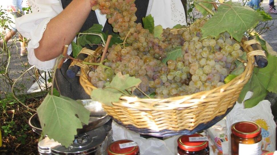 La festa dell’uva si allarga tra buon vino, escursioni e balli