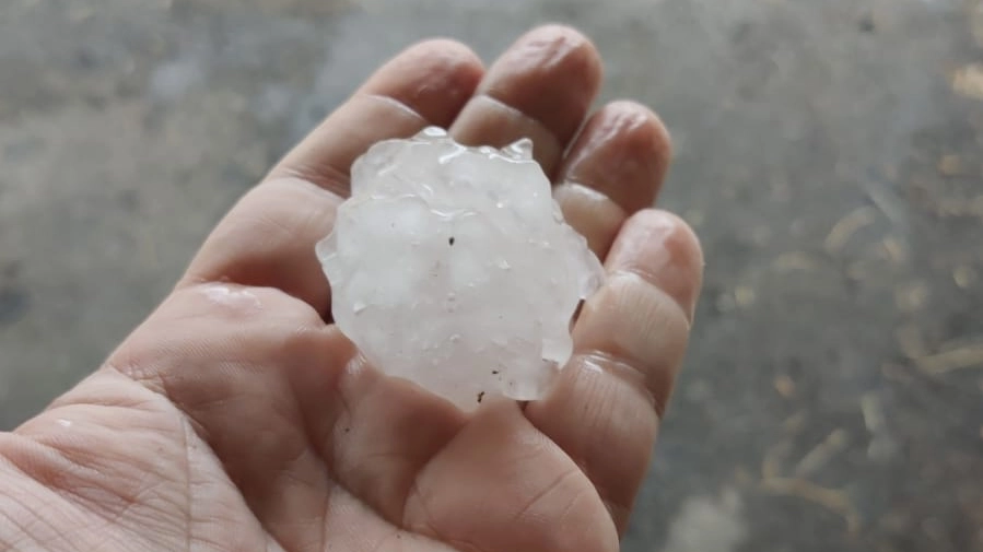 Maltempo oggi 7 agosto a Bologna, grossi chicchi di grandine anche a Monte San Pietro (Foto MeteoRoby)