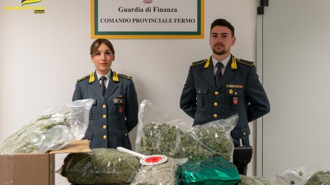 Traffico di droga, sgominato il clan: in dodici a processo, patteggiano 25 anni