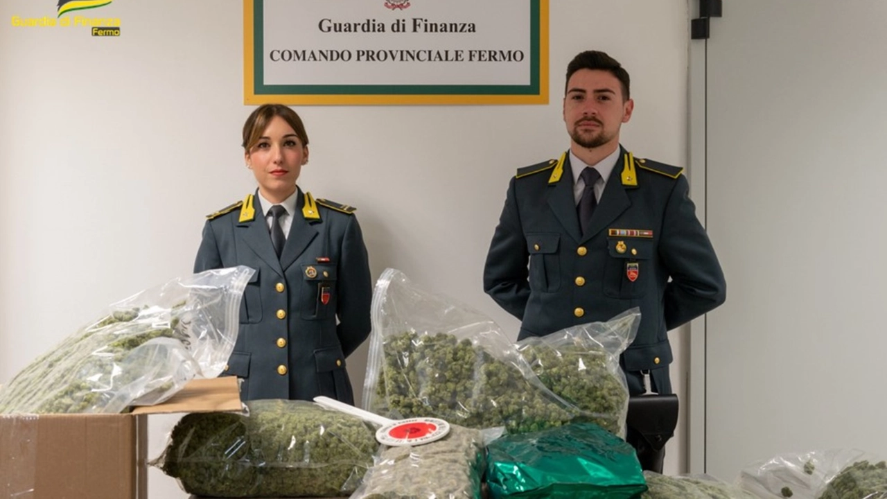 La Guardia di Finanza di Fermo con l’operazione denominata 'Shqiptar 2'