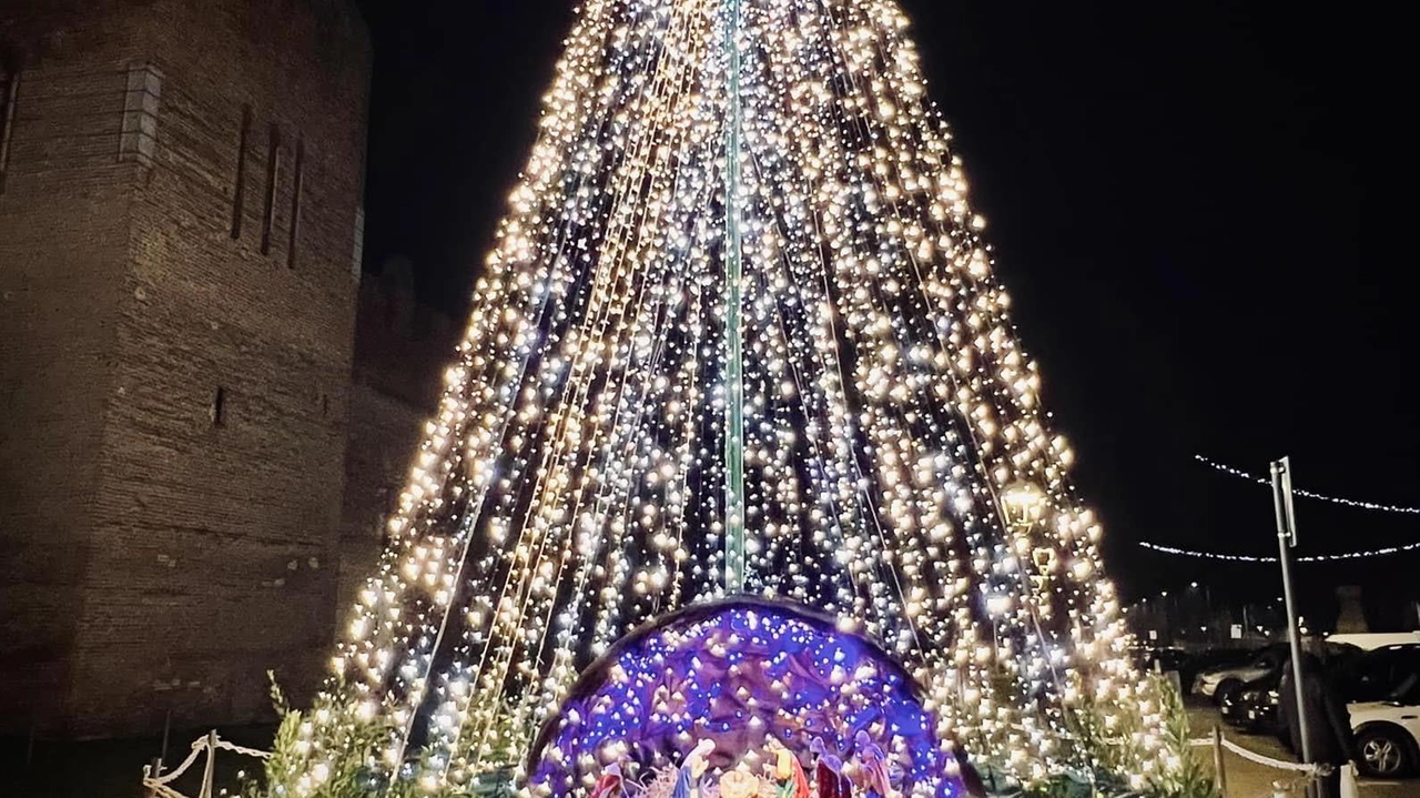 Anche quest’anno il Comune di Reggiolo si prepara alle festività con "Natale locale", l’iniziativa pensata per sostenere il commercio del...