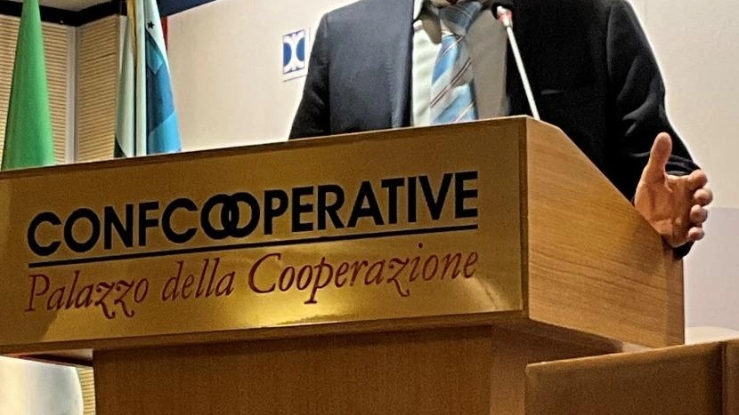 È Raffaele Drei (foto) il nuovo presidente di Fedagripesca Confcooperative. La nomina è avvenuta ieri, al consiglio nazionale della federazione,...