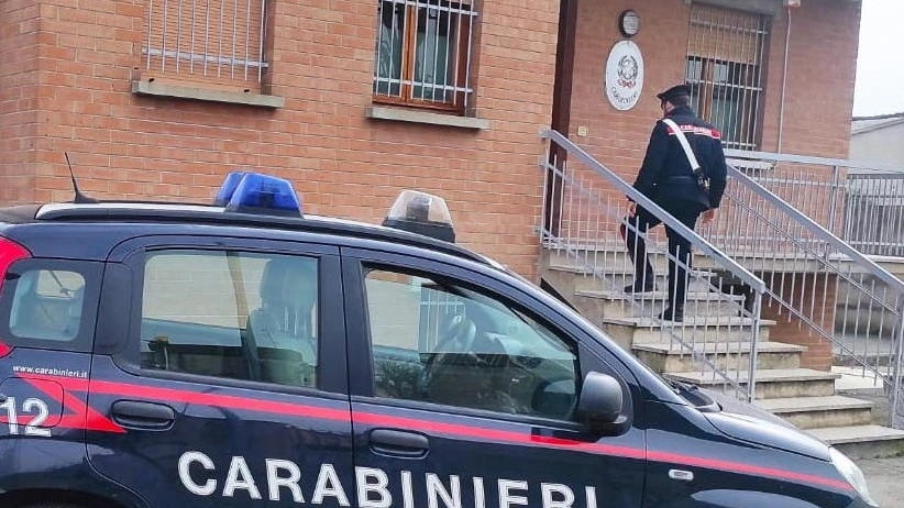 Minaccia collega durante una lite e spara contro una siepe a Reggiolo