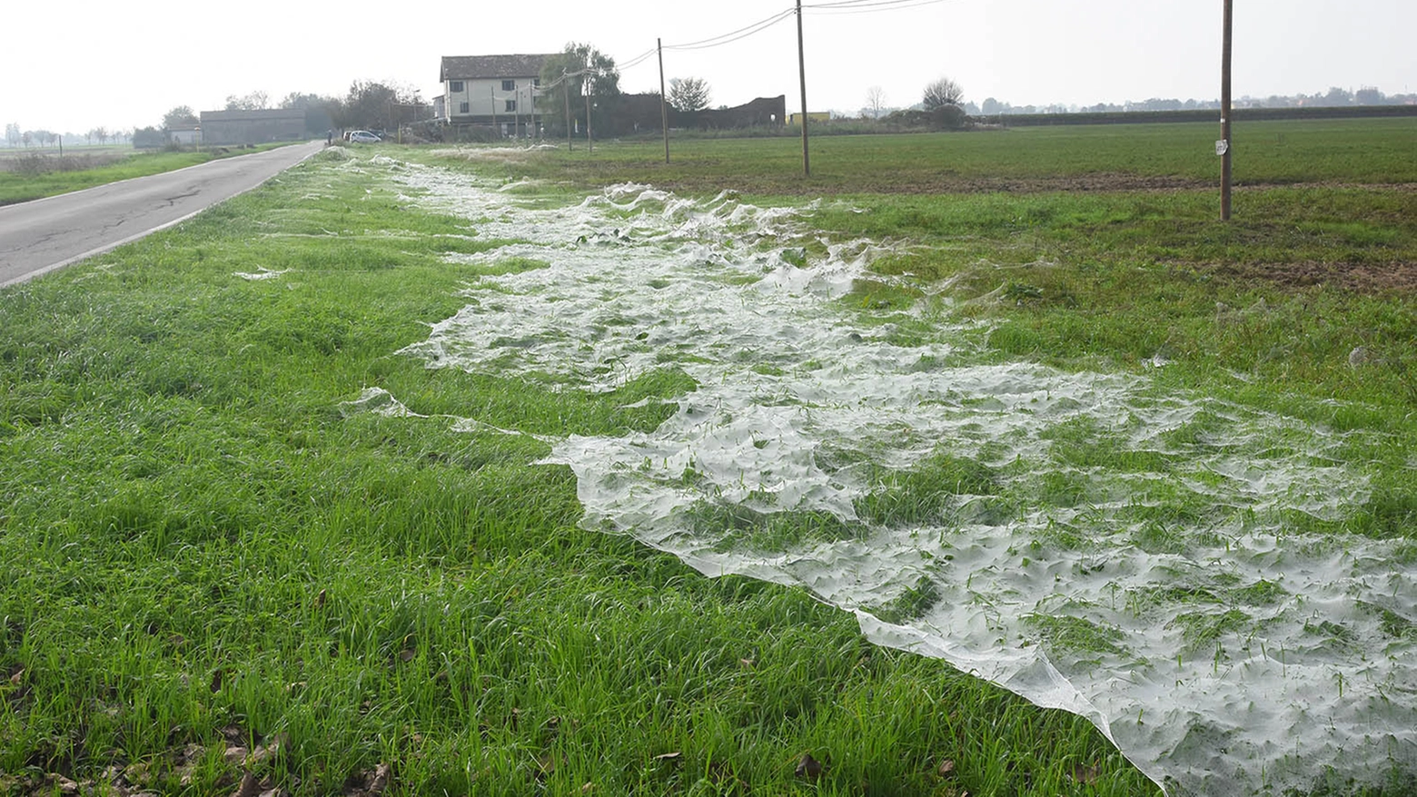 Ballooning: ecco come si spiega questo fenomeno