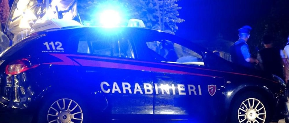 Dopo un rocambolesco inseguimento nel fango e sotto la pioggia i militari hanno bloccato un23enne. La banda aveva già forzato due cabine elettriche e danneggiato dei mezzi.