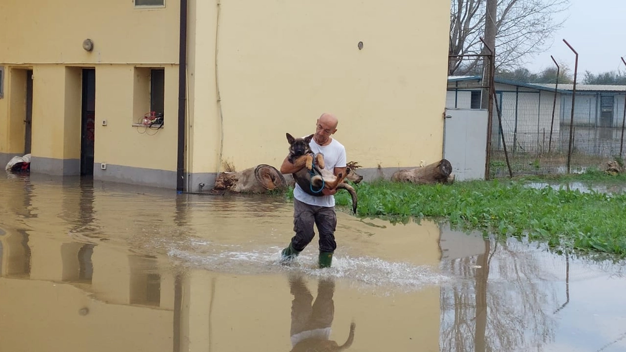 Foto tratta dalla pagina Meteo Reggio