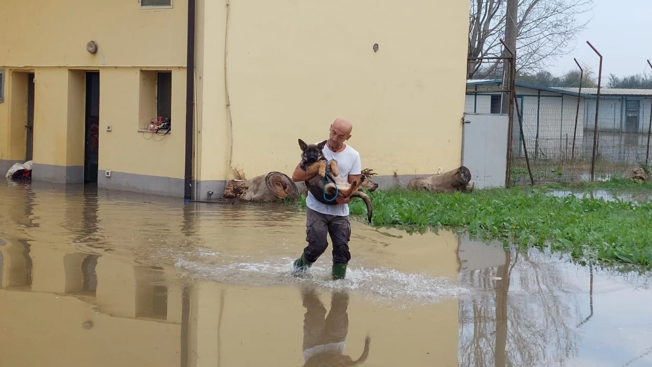 Foto tratta dalla pagina Meteo Reggio