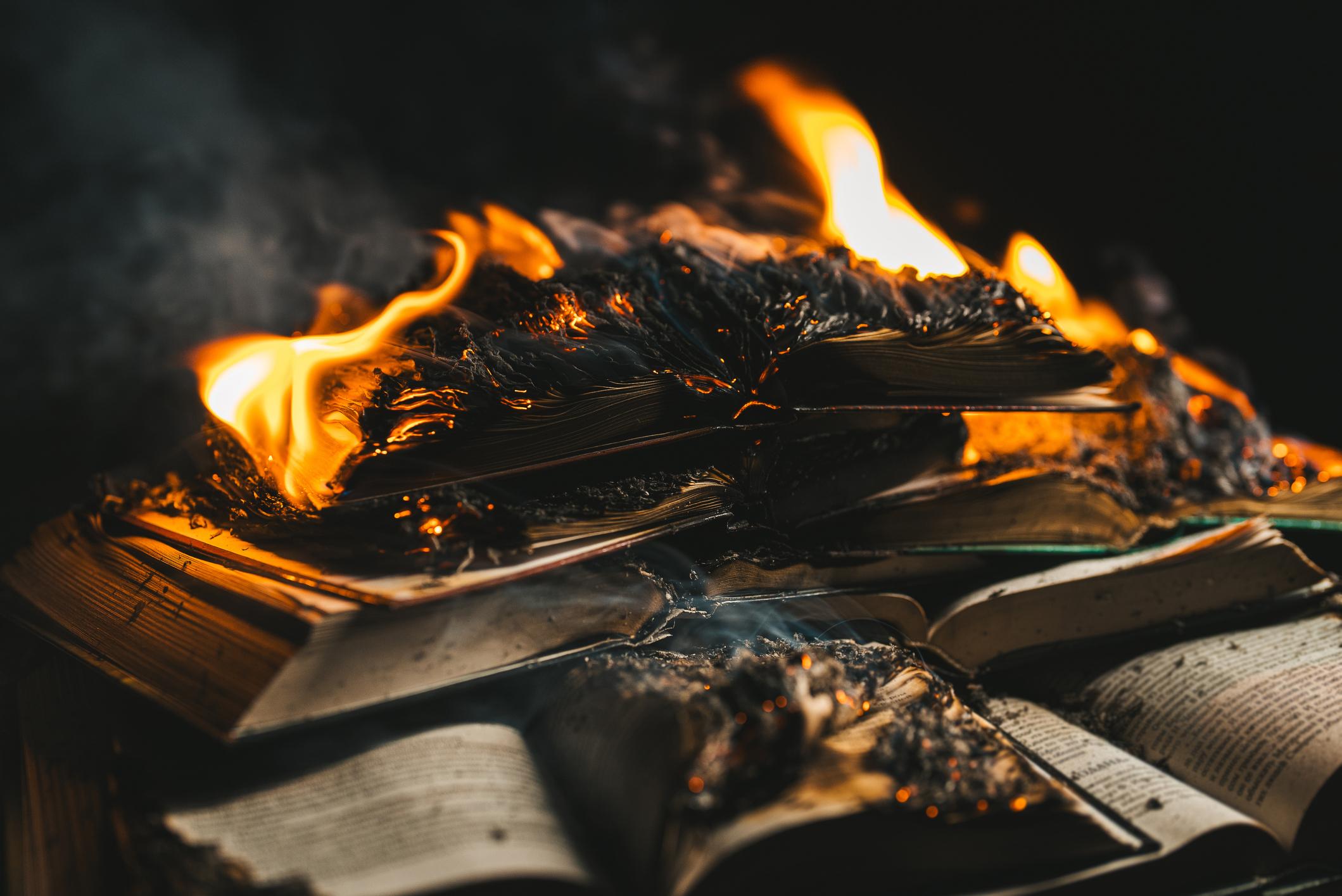 Libri bruciati a Villa Torchi a Bologna, vandali all’attacco delle librerie del parco