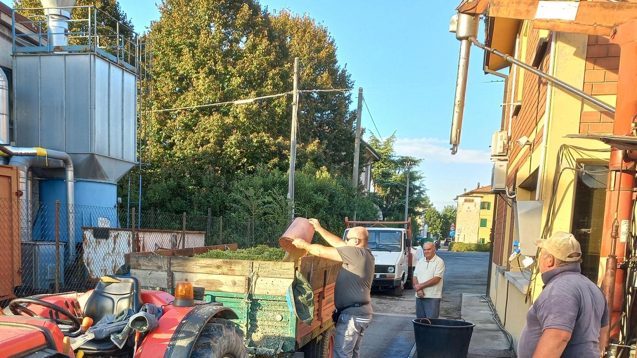 Cantina sociale, ultima vendemmia: "Ma non lasciamo soli i nostri soci"