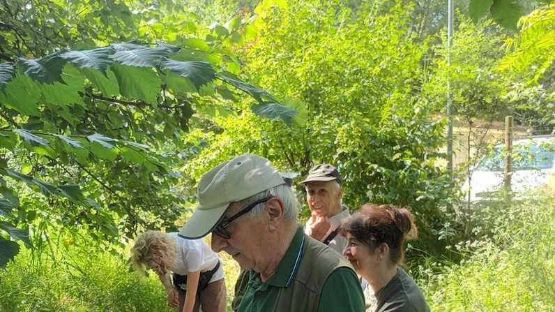 La mission è quella di tutelare la natura e le specie in via di estinzione. "Ma ora abbiamo bisogno di giovani volontari"