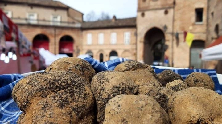 Il tartufo ad Amandola con i suoi weekend di Diamanti a Tavola