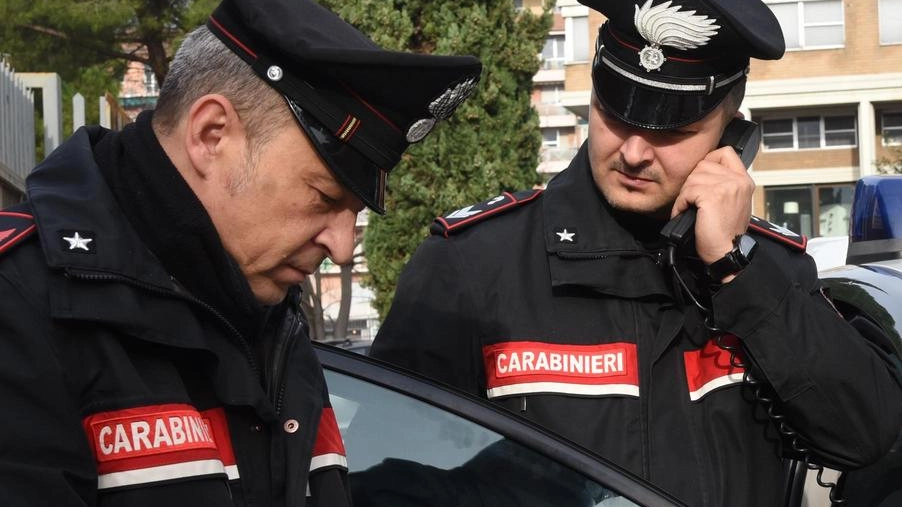 Tenta di rapinare cellulare: arrestata 44enne