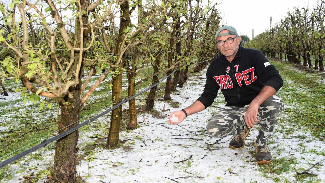 Campagne amare: "Meteo folle e danni. Noi agricoltori siamo senza paracadute"