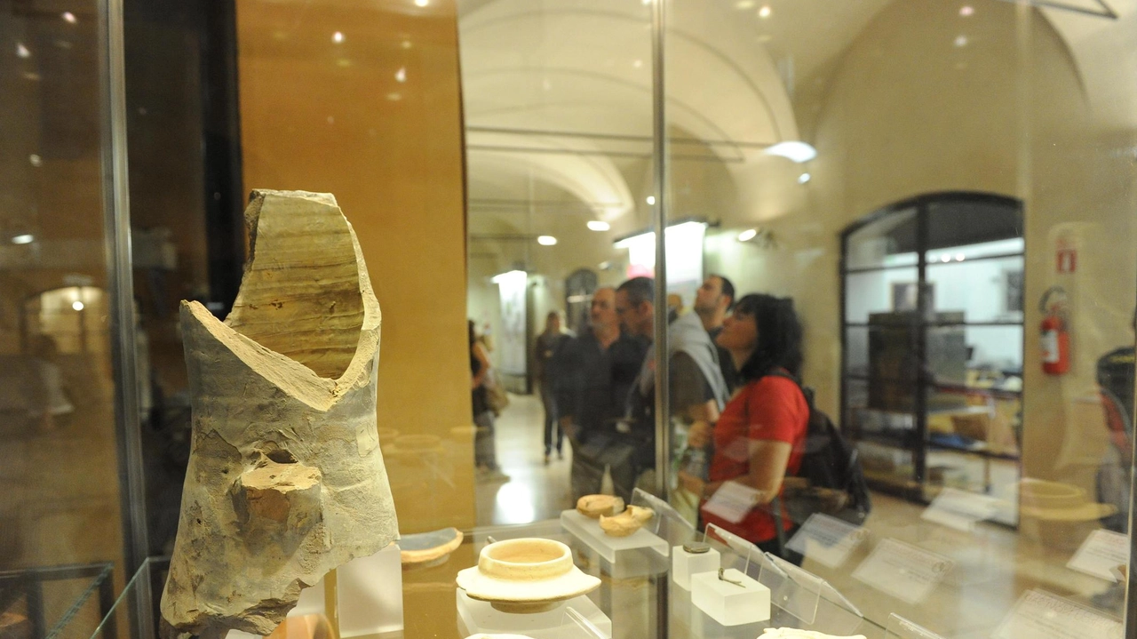 Il Museo civico offre di più. L’apertura è prolungata