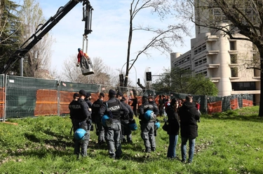 Scuole Besta Bologna: attivisti in protesta contro la potatura degli alberi. “Porteremo i rami a Lepore”