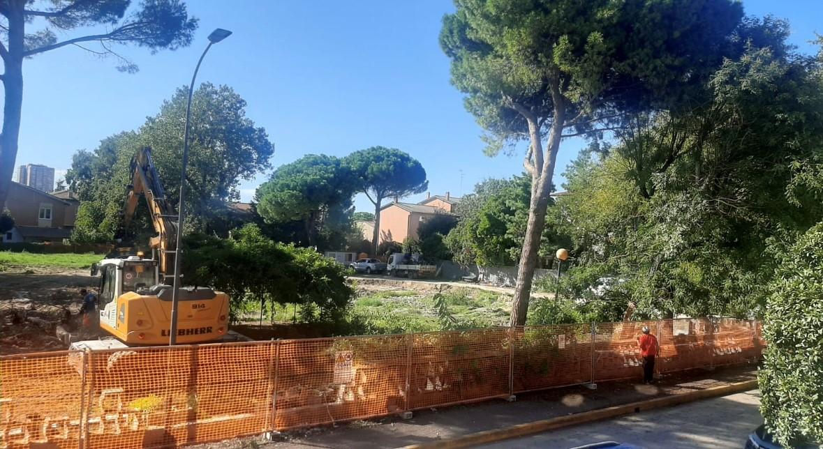 Alberi tagliati a Ravenna nell’area dell’asilo Pavirani: “Promesse disattese”