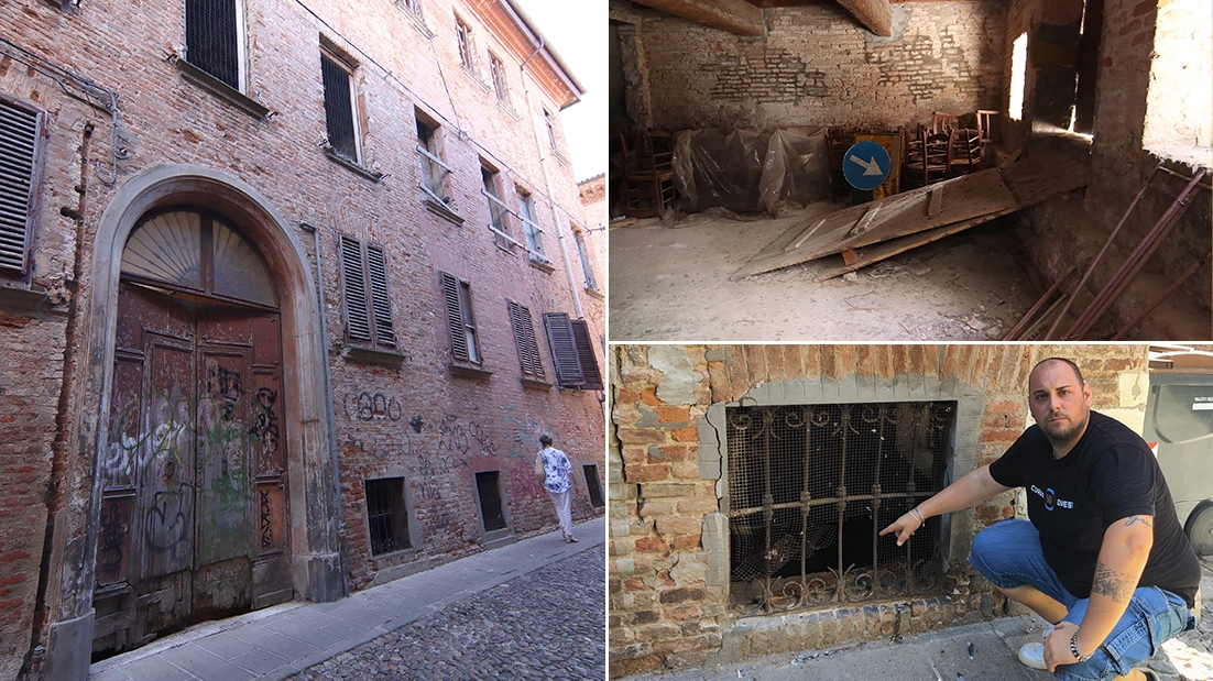 Topi nel palazzo di via Boccaleone 7 a Ferrara: l'edificio è disabitato da anni e versa in condizioni di totale abbandono. I ratti hanno trovato un rifugio sicuro in cui ritirarsi e proliferare