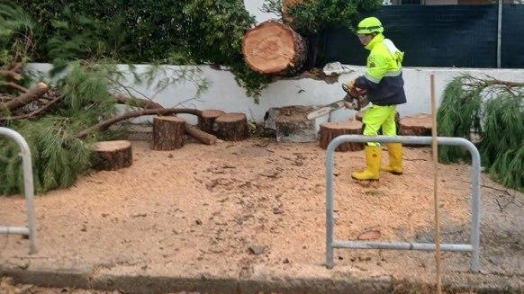 Il maltempo di ieri ha causato il crollo di diversi alberi a Porto Recanati, tant’è che degli arbusti sono finiti...