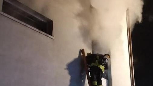 Incendio a Poviglio: danni seri in abitazione di via Zappellazzo. Cane salvato dai vigili del fuoco. Cause elettriche sospettate. Edificio non fruibile.