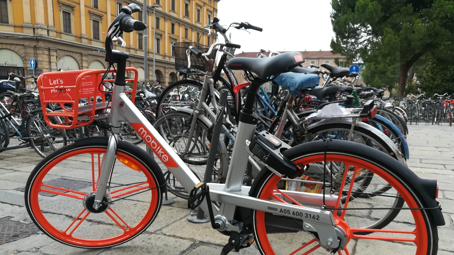 Bike sharing gratis a Bologna per chi ha l'abbonamento al traporto pubblico: ecco come attivare l'agevolazione