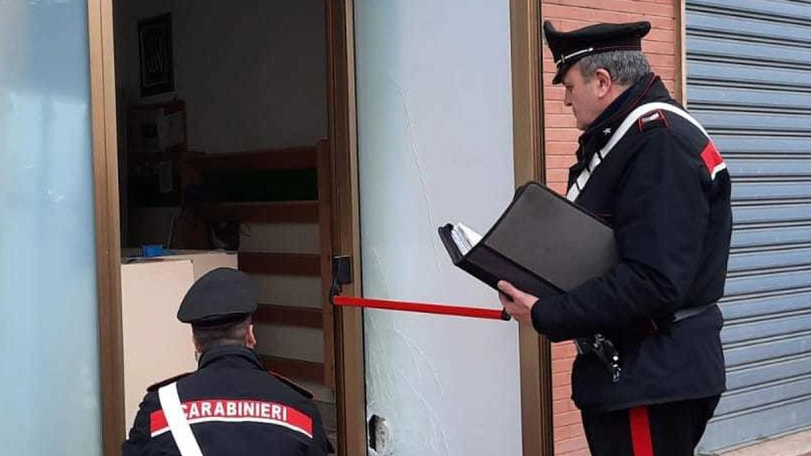 Una donna di 37 anni a Macerata finisce nei guai per aver lanciato il suo gatto dal balcone. Denunciata per maltrattamento di animali, mentre un 78enne è stato denunciato per guida in stato di ebbrezza.