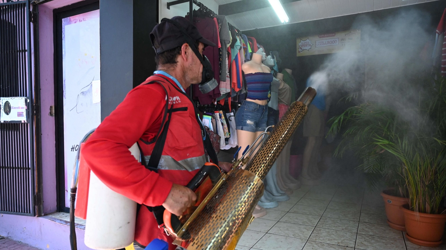 Dengue: secondo caso a Pesaro, a pochi chilometri dal focolaio di Fano. Scatta disinfestazione