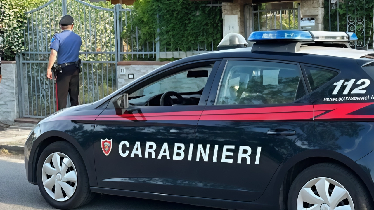 Sulla vicenda hanno indagato i carabinieri di Porto Garibaldi (. foto d’archivio