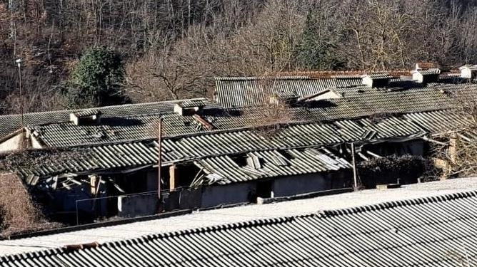 Non è più rinviabile la situazione dell’area ex allevamento suinicolo di Bocedro di Castelnovo Monti, "uno scempio ambientale ai...