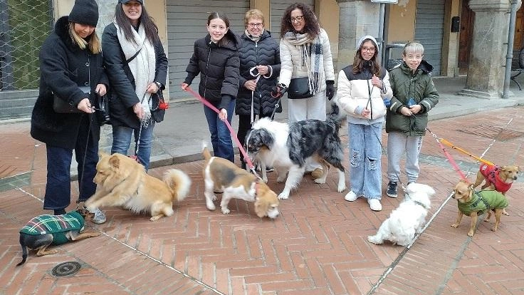 Cani di ogni razza, età e temperamento al guinzaglio dei loro padroni