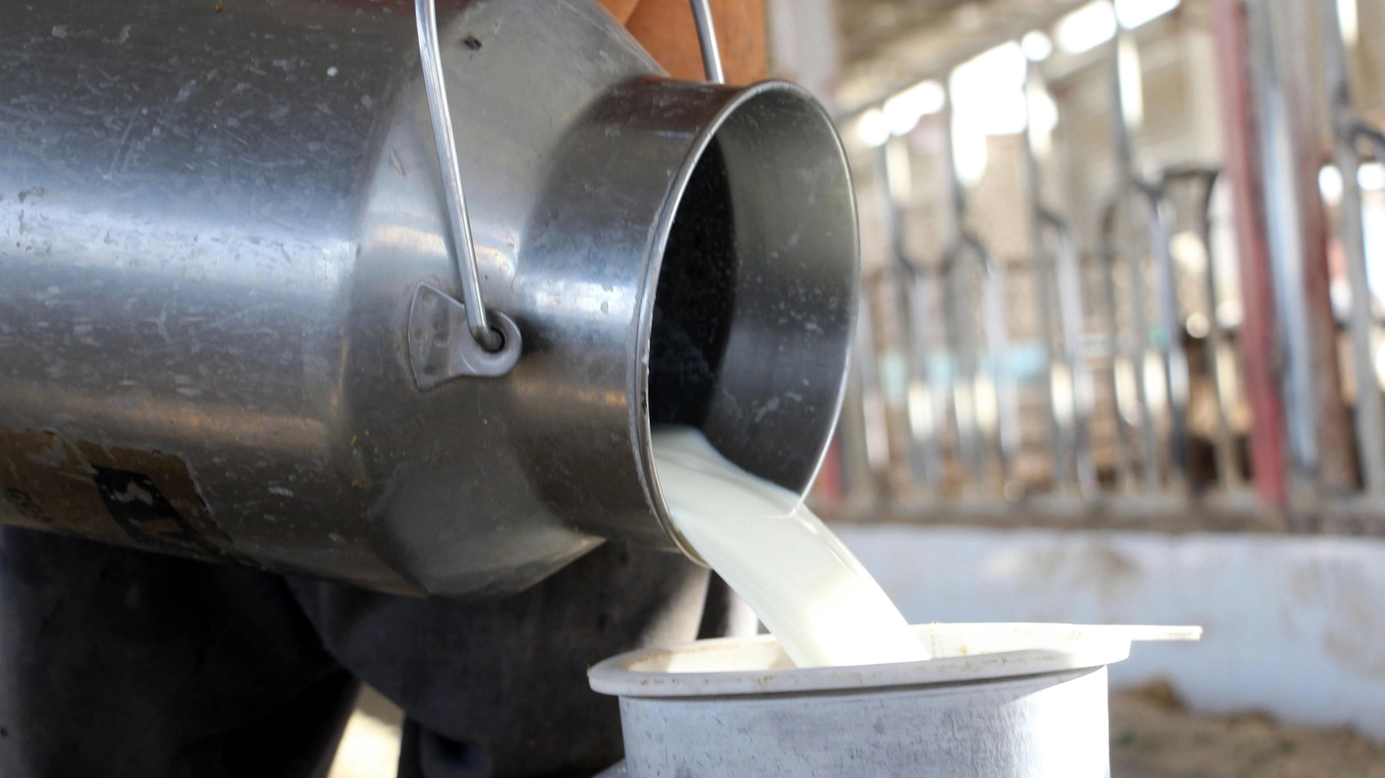 TreValli Cooperlat raccoglie oltre 500 milioni di litri di latte