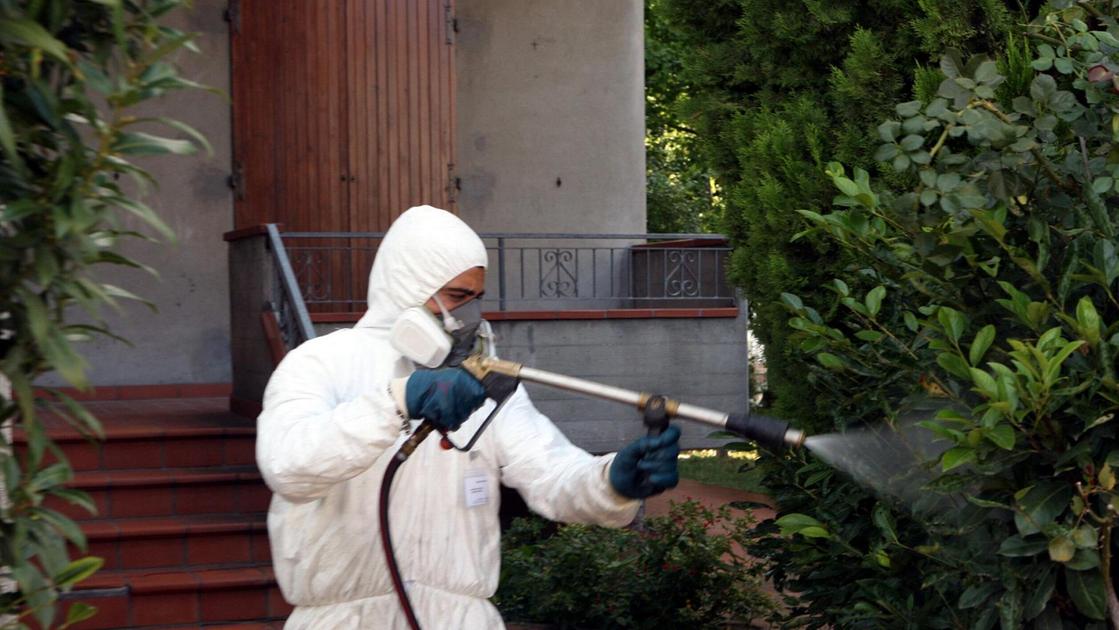 Caso di dengue a Sasso Marconi (Bologna): è il secondo in dieci giorni