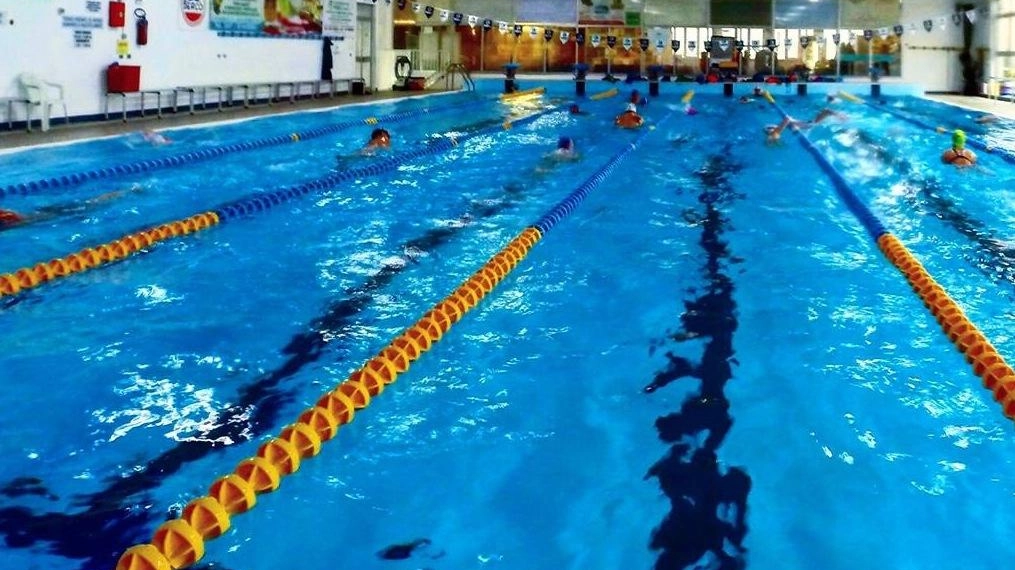 Evento di solidarietà e ricerca sul tumore al seno: il 26 ottobre alla piscina Centro Nuoto Copparo si terrà "Una nuotata con Airc", aperta a tutti per sostenere la causa con una quota d'iscrizione simbolica.