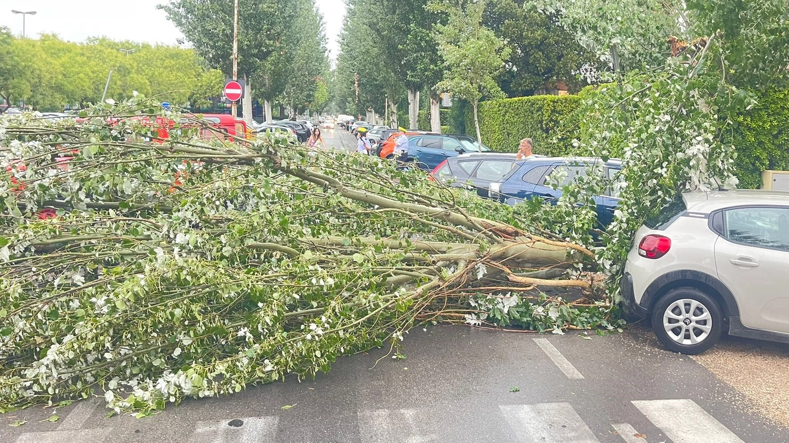 A San Benedetto il vento ha reso possibile l’arrivo dell’elisoccorso per un motociclista ferito lungo l’Adriatica di Cupramarittima. Lungo la Fano-Grosseto caduto un grosso tronco all’altezza dell’uscita di Bellocchi