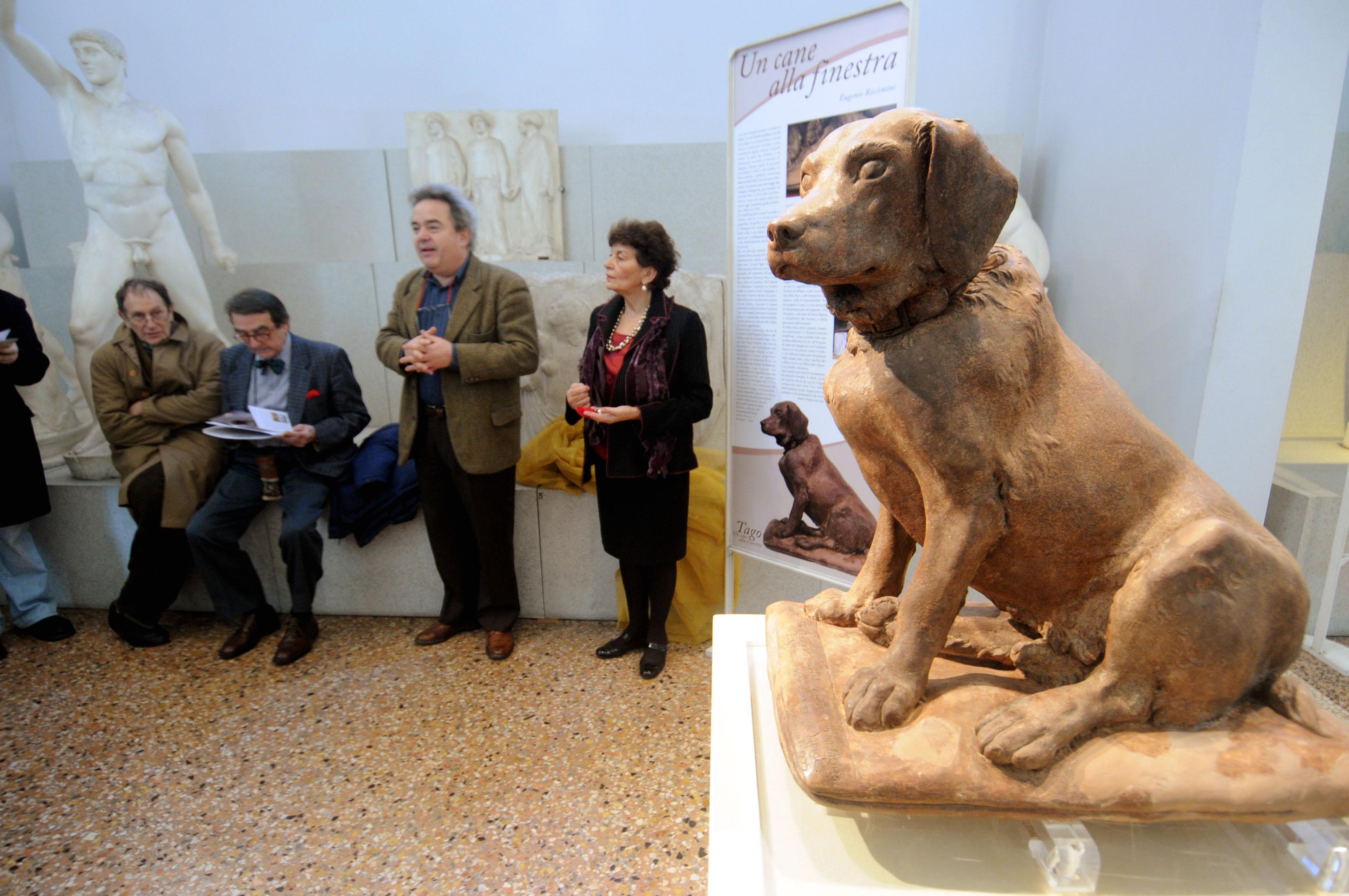 Tutti gli animali di Bologna: storie di statue a 4 zampe