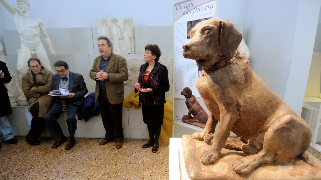 La statua del cane Tago dopo il restauro al Museo civico archeologico