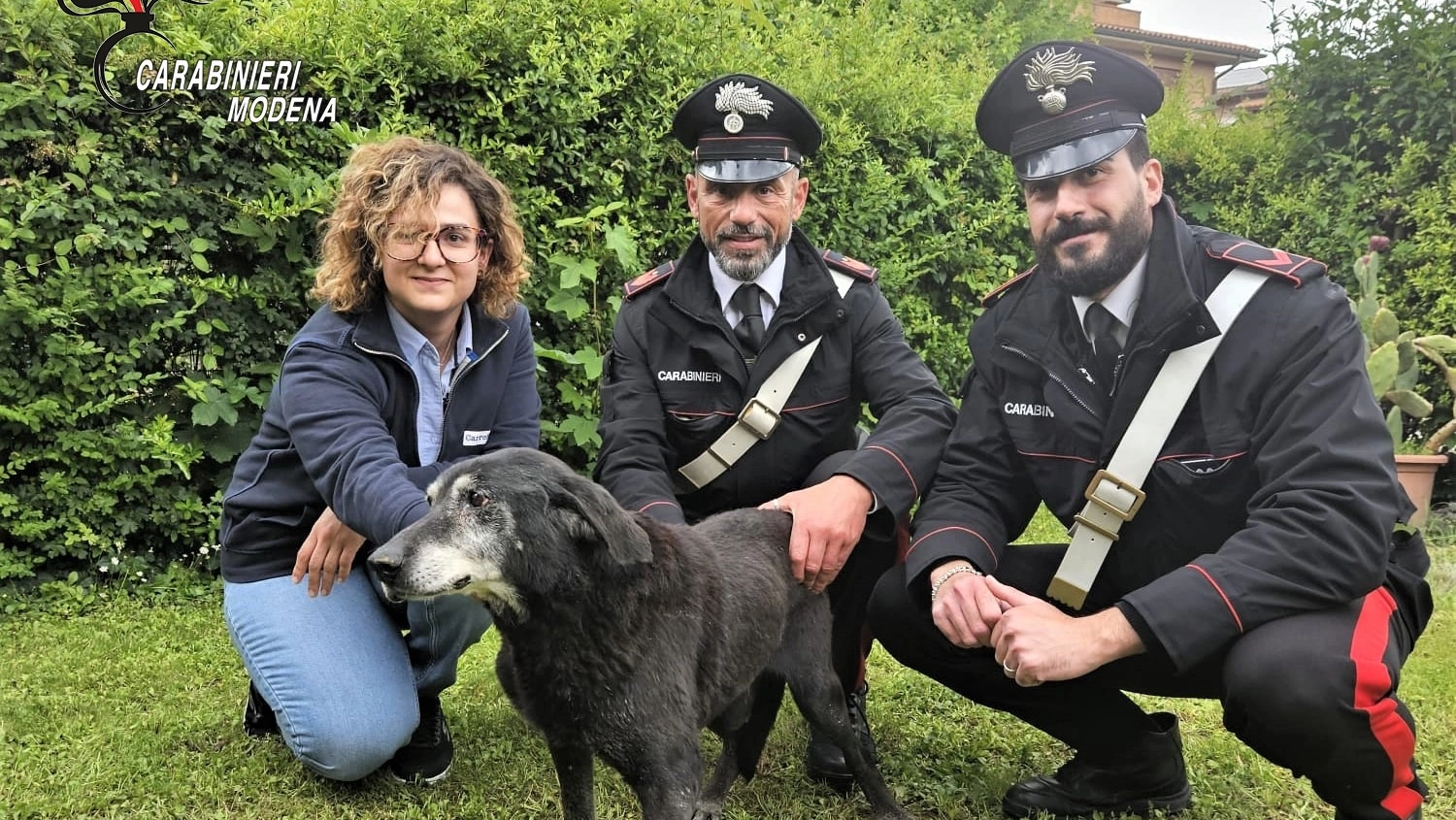 Carabinieri salvano cane intrappolato nel fango a Savignano sul Panaro