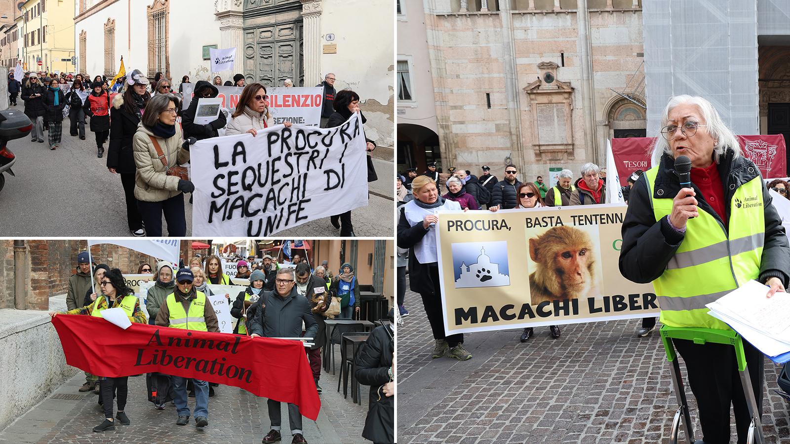 La battaglia per i macachi, il corteo degli animalisti a Ferrara: “Basta torture all’Università”