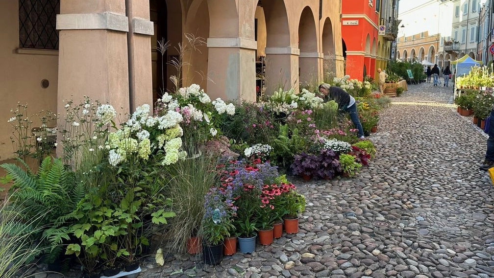 Si tratta di una delle mostre mercato di maggior richiamo nel panorama delle manifestazioni italiane dedicate alla natura e alla campagna