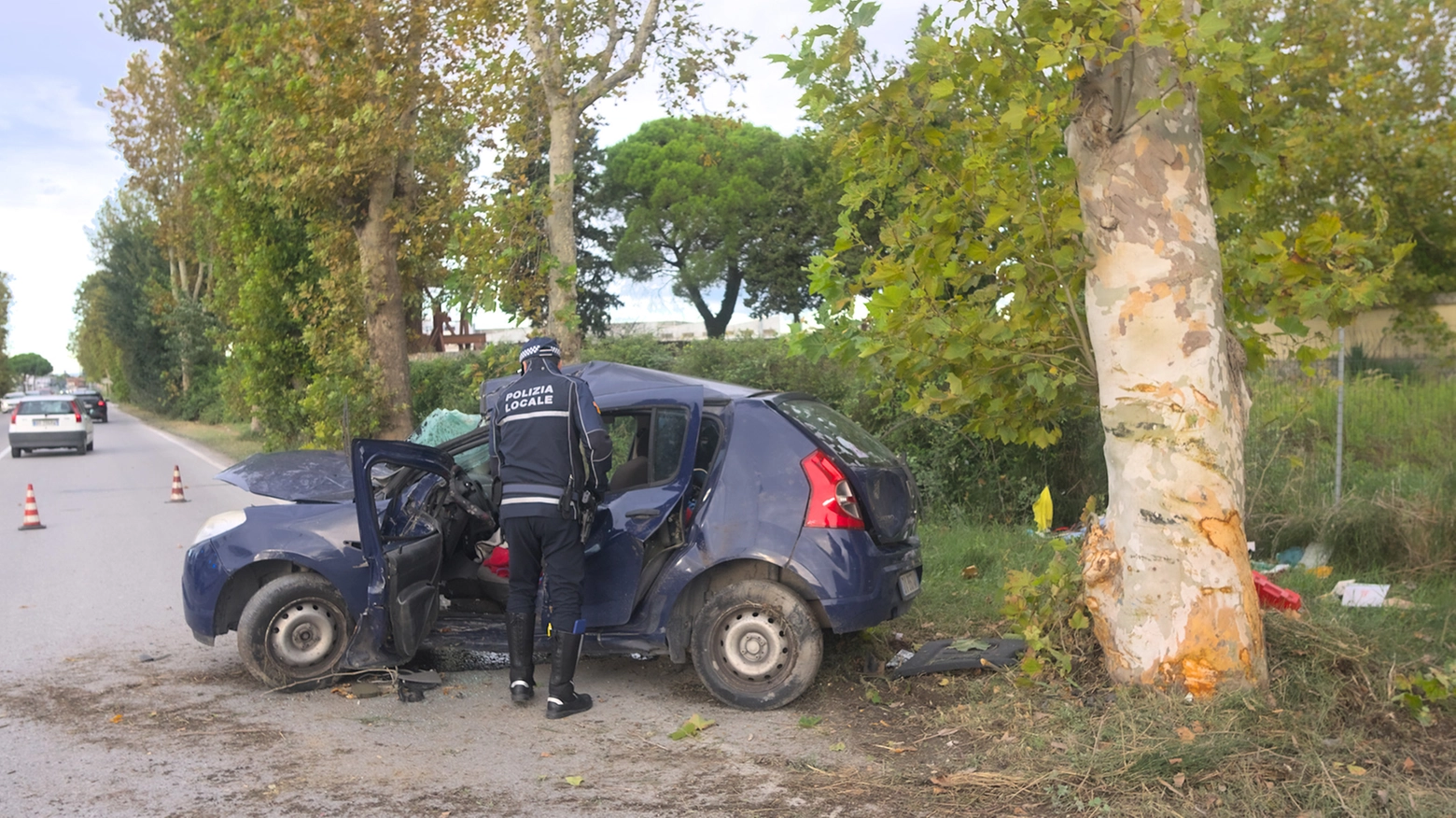 Lo schianto in viale Trieste: una Dacia è uscita di strada finendo contro un platano (Foto Zani)