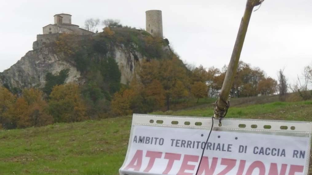 Riparte il piano di abbattimento dei cinghiali : "Vietato entrare nelle aree di caccia: è pericoloso"