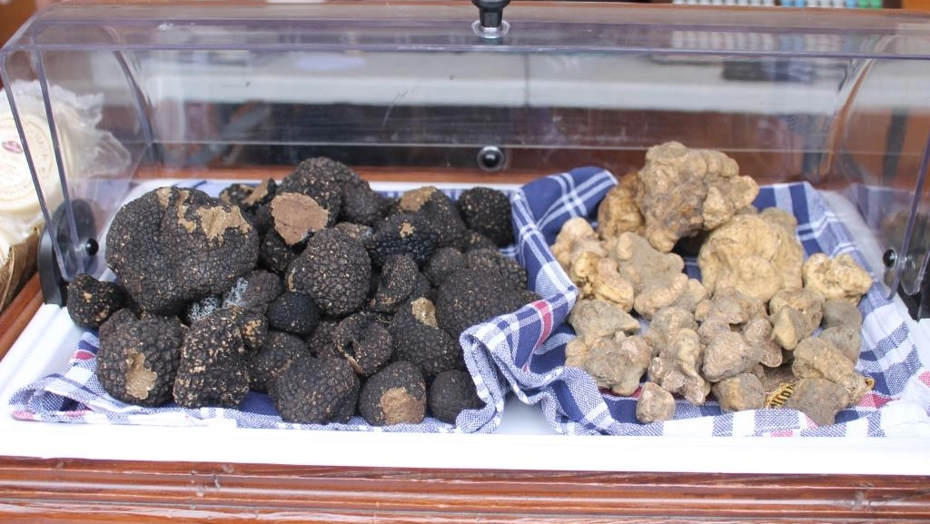 C'è profumo di tartufo in tutta la regione. Ecco le date di questo mese da segnare se si è amanti dell'oro nero della gastronomia